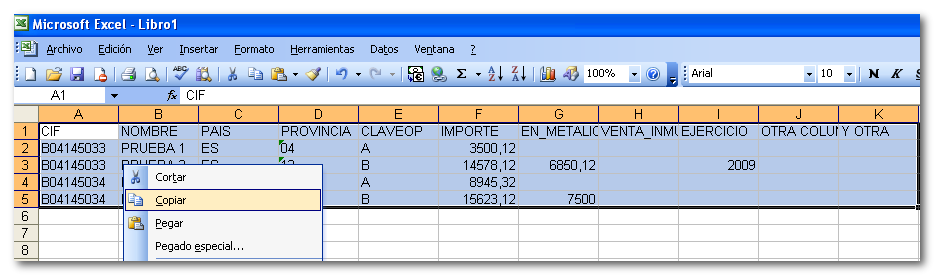 Copiado en Microsoft Excel.