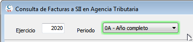 Consulta de año completo al SII