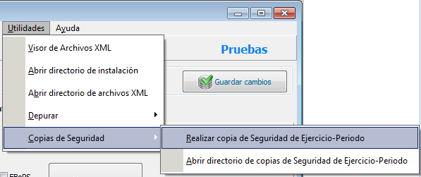 Realizar copia de seguridad de Ejercicio-Periodo